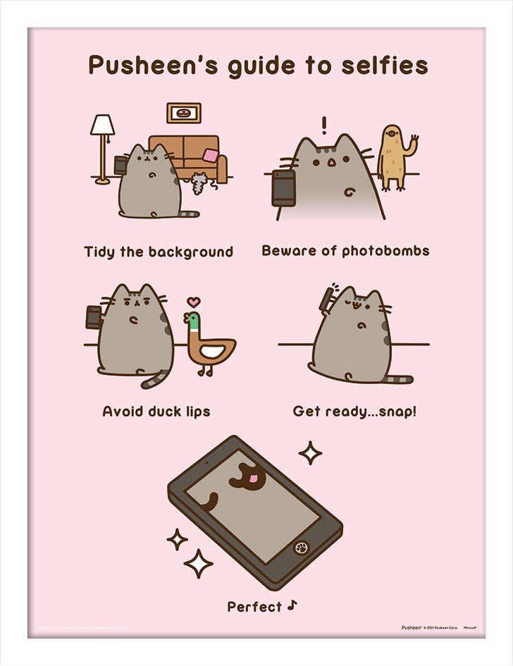 Pusheen Innrammet Bilde 30 x 40 cm Guide To Selfies - Supernerds